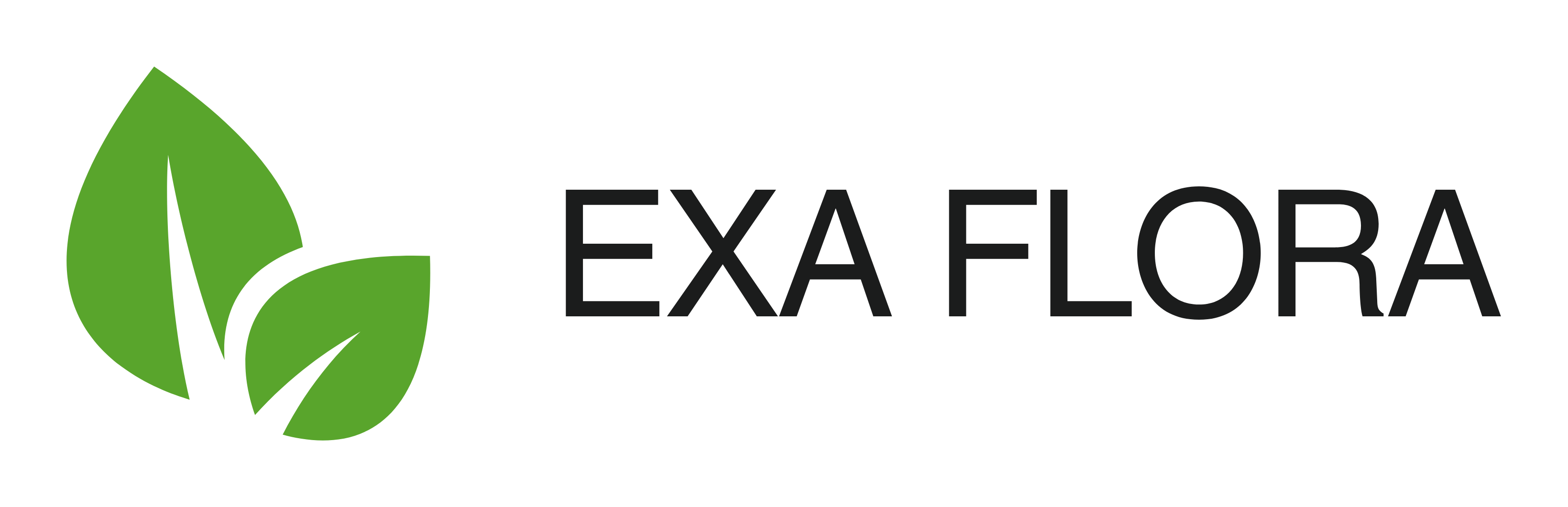 Exa Flora